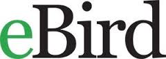 ebird2