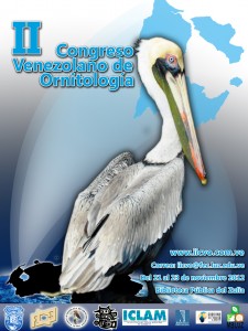 IICVO-2012-Afiche
